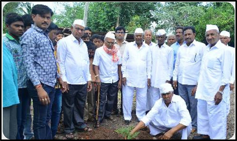 Tree Plantation 1